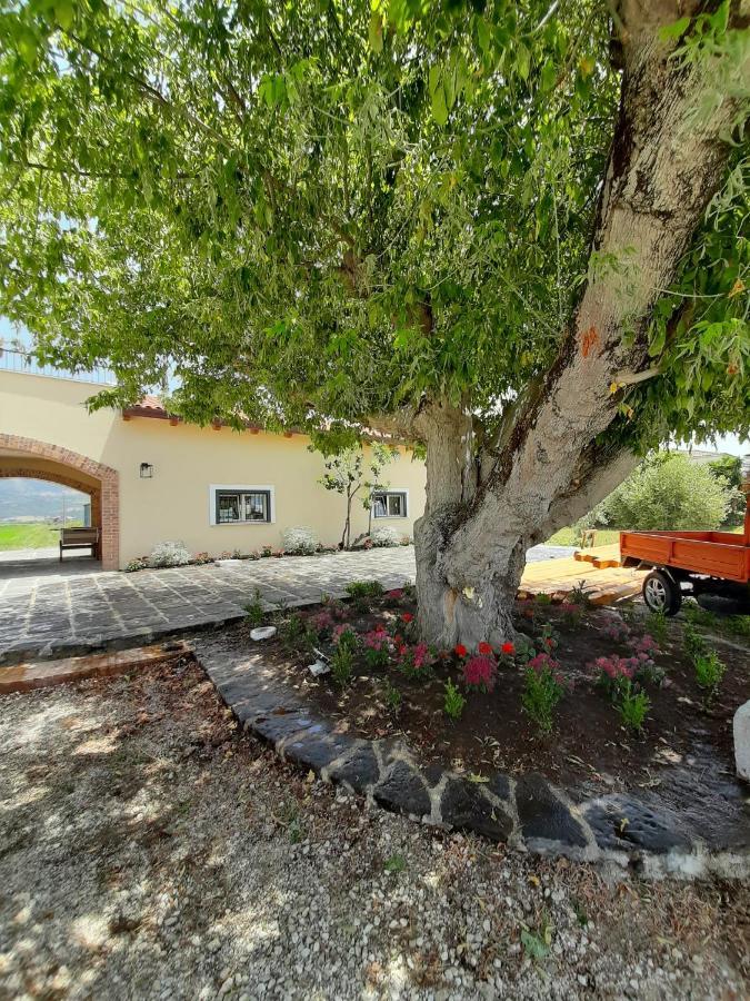 B&B Tenuta San Michele Capaccio Εξωτερικό φωτογραφία