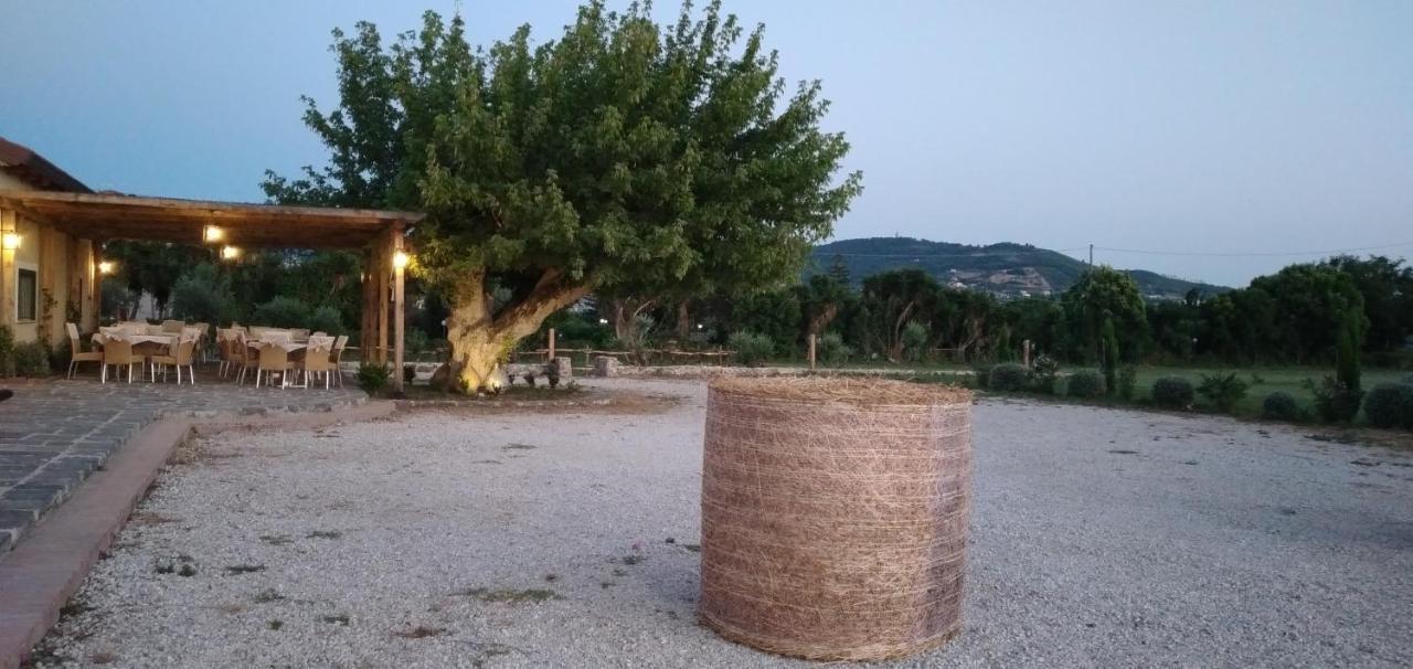 B&B Tenuta San Michele Capaccio Εξωτερικό φωτογραφία