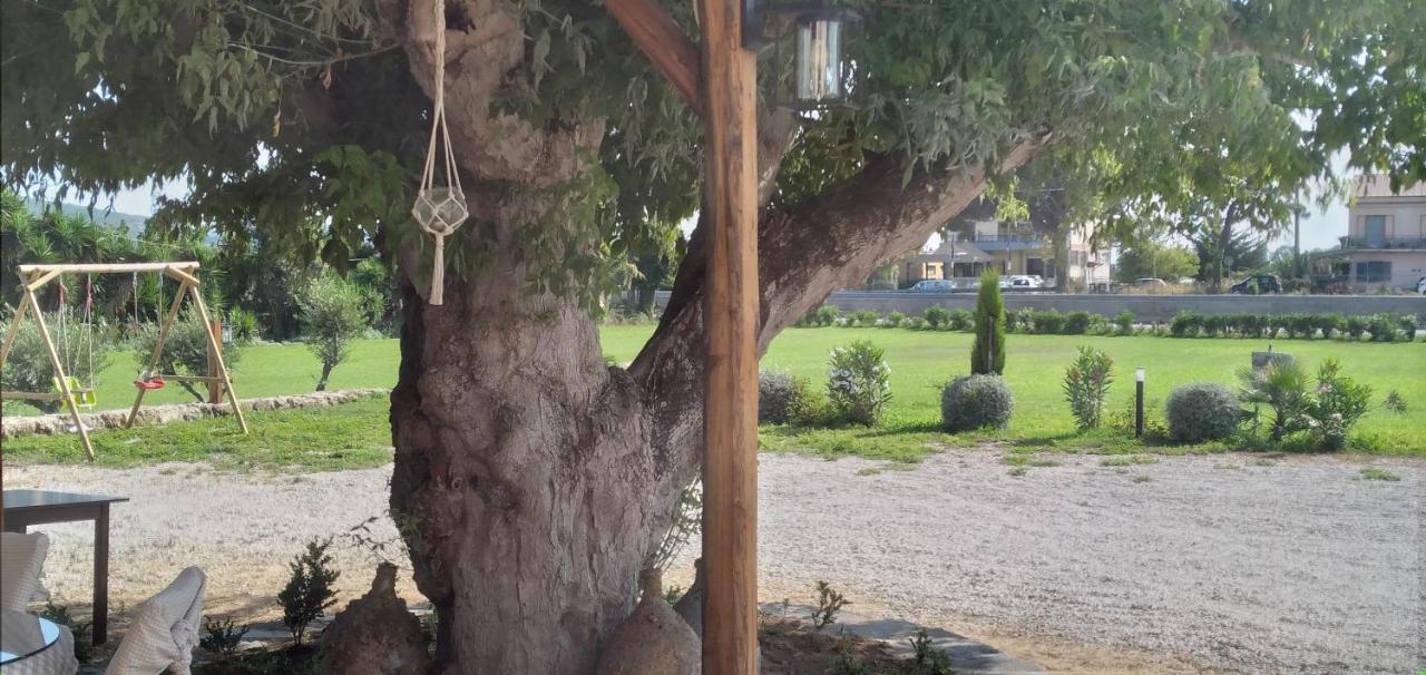 B&B Tenuta San Michele Capaccio Εξωτερικό φωτογραφία