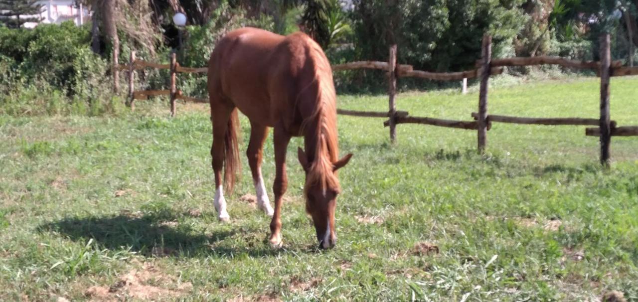 B&B Tenuta San Michele Capaccio Εξωτερικό φωτογραφία