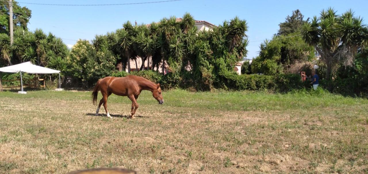 B&B Tenuta San Michele Capaccio Εξωτερικό φωτογραφία