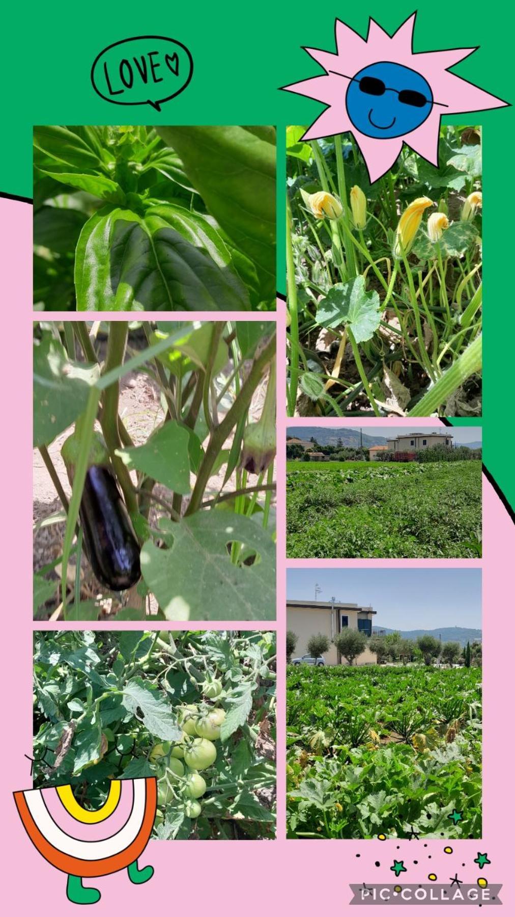 B&B Tenuta San Michele Capaccio Εξωτερικό φωτογραφία